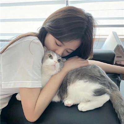 怨咒 海报